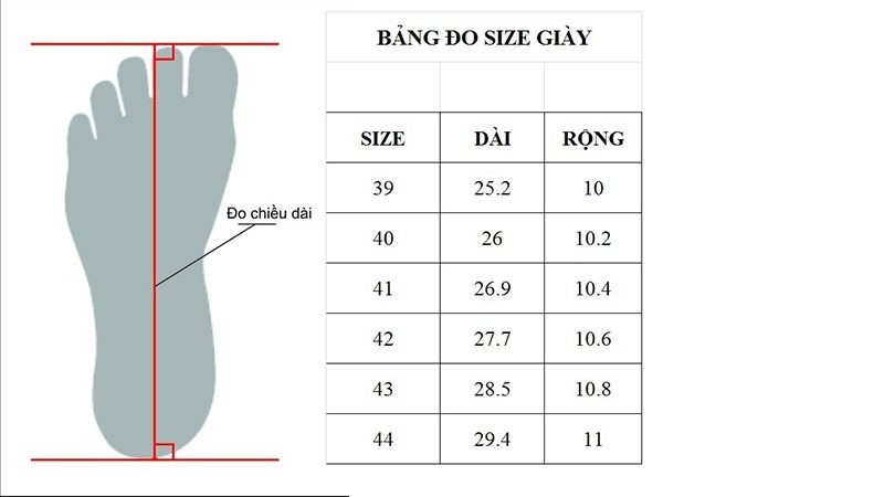 Chân 22cm đi giày size bao nhiêu: Tìm hiểu cỡ giày phù hợp chân dài 22cm